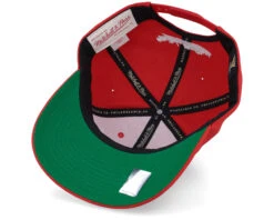 Detroit Red Wings Team Ground 2.0 Pro Red Adjustable - Mitchell & Ness -Mitchell & Ness 195563702543 5