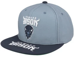 Howard Bison Logo Bill Navy Snapback - Mitchell & Ness