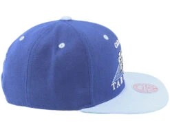 Carolina Tar Heels Carolina Monument Blue Snapback - Mitchell & Ness -Mitchell & Ness 196294554876 4
