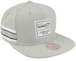 Gameday Grey Snapback - Mitchell & Ness