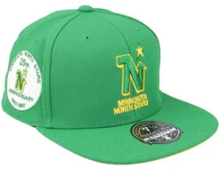 Minnesota North Stars Vintage Green Fitted - Mitchell & Ness