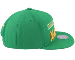 Minnesota North Stars Retro Lock Up Green Snapback - Mitchell & Ness -Mitchell & Ness 196294848586 4