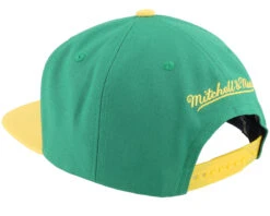 Minnesota North Stars Vintage Script Green/Yellow Snapback - Mitchell & Ness -Mitchell & Ness 196294848609 3