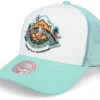 1996 San Antonio All Star Weekend White/Teal Trucker - Mitchell & Ness