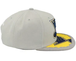St. Louis Blues Munch Time Vintage Grey Snapback - Mitchell & Ness -Mitchell & Ness 196945021016 4