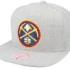 Team Heather Grey Snapback - Mitchell & Ness