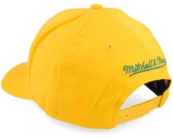 Hatstore Exclusive X Hatstore Exclusive Own Brand Pinscript Yellow/Green 110 Adjustable - Mitchell & Ness -Mitchell & Ness HS2013975 3