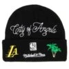 Hyperlocal Knit Beanie HWC Los Angeles Lakers